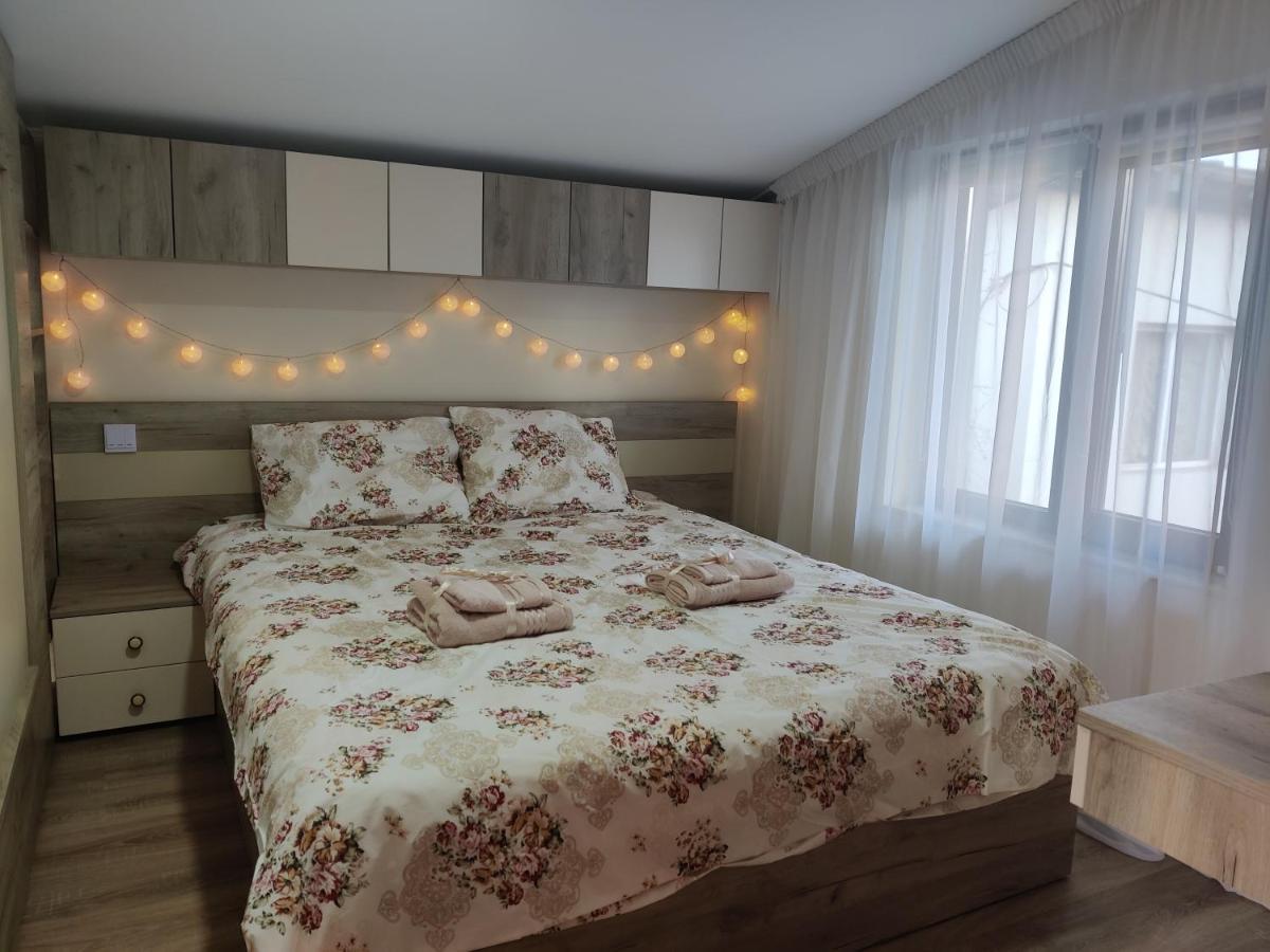 Zen Studio Slatina スラティナ エクステリア 写真